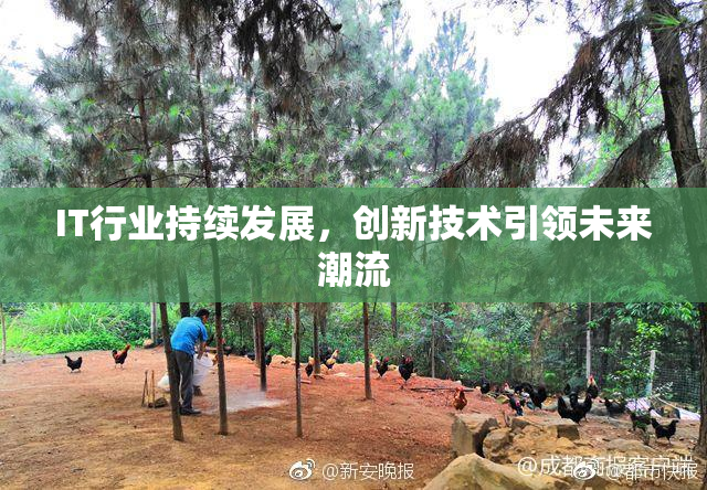IT行业持续发展，创新技术引领未来潮流
