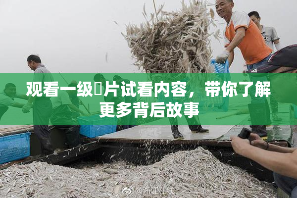 观看一级婬片试看内容，带你了解更多背后故事
