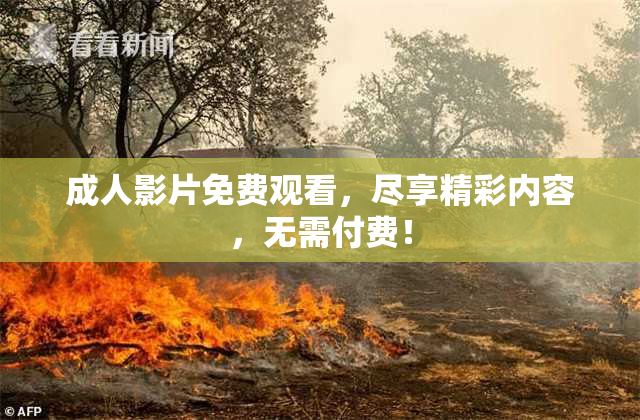 成人影片免费观看，尽享精彩内容，无需付费！