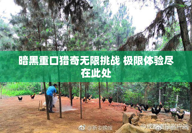 暗黑重口猎奇无限挑战 极限体验尽在此处
