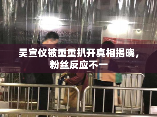 吴宣仪被重重扒开真相揭晓，粉丝反应不一