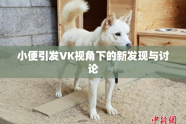 小便引发VK视角下的新发现与讨论
