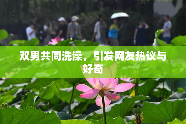 双男共同洗澡，引发网友热议与好奇