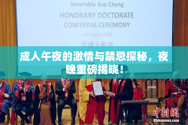 成人午夜的激情与禁忌探秘，夜晚重磅揭晓！