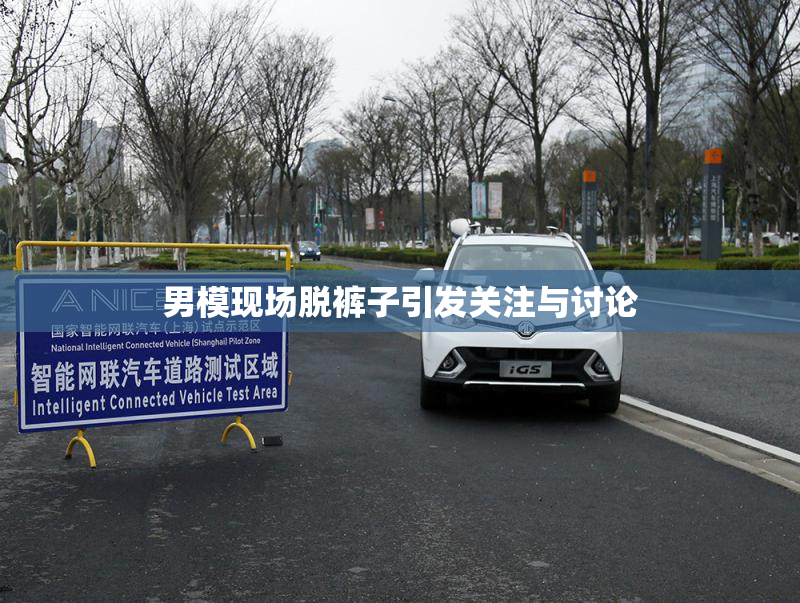 男模现场脱裤子引发关注与讨论