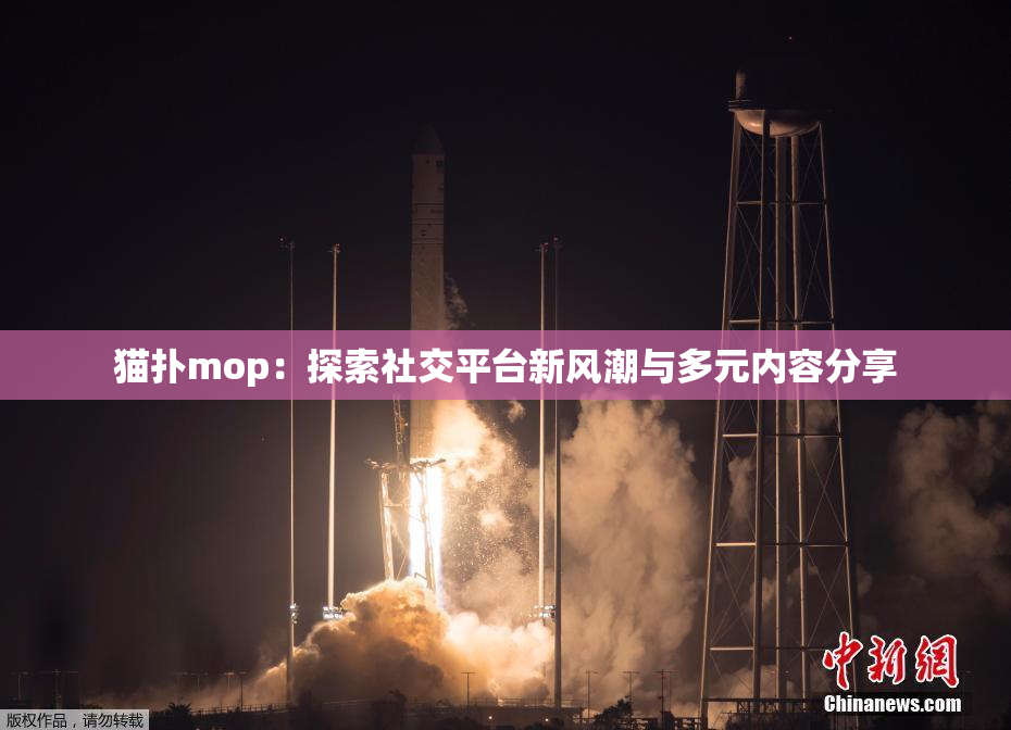 猫扑mop：探索社交平台新风潮与多元内容分享