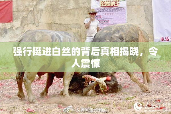 强行挺进白丝的背后真相揭晓，令人震惊