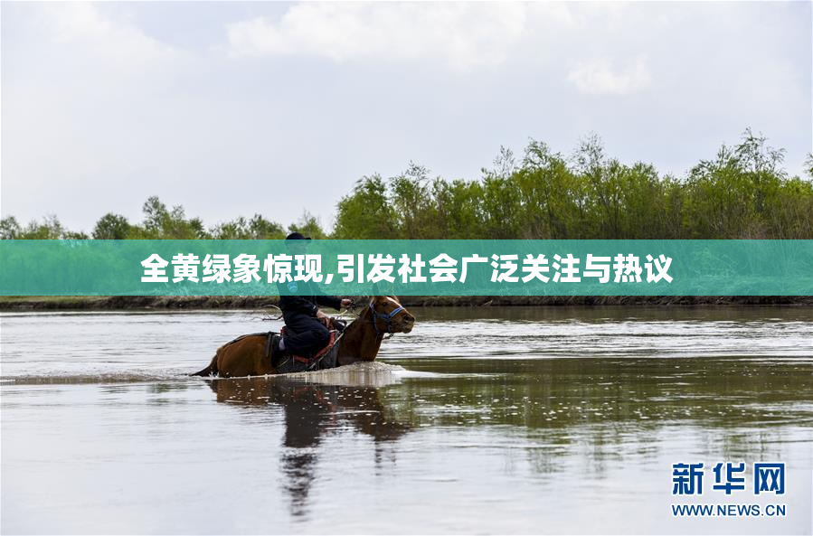 全黄绿象惊现,引发社会广泛关注与热议