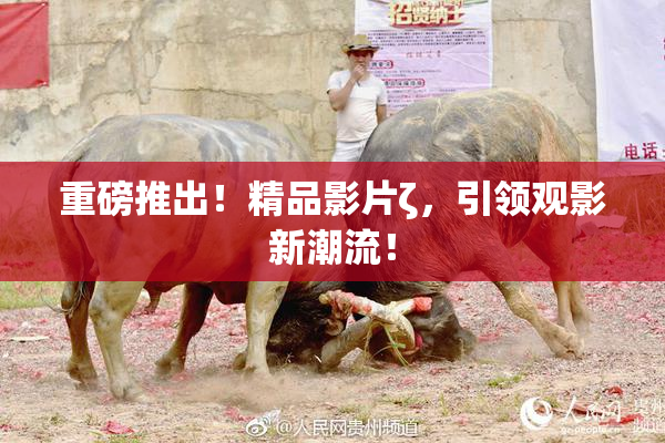 重磅推出！精品影片ζ，引领观影新潮流！