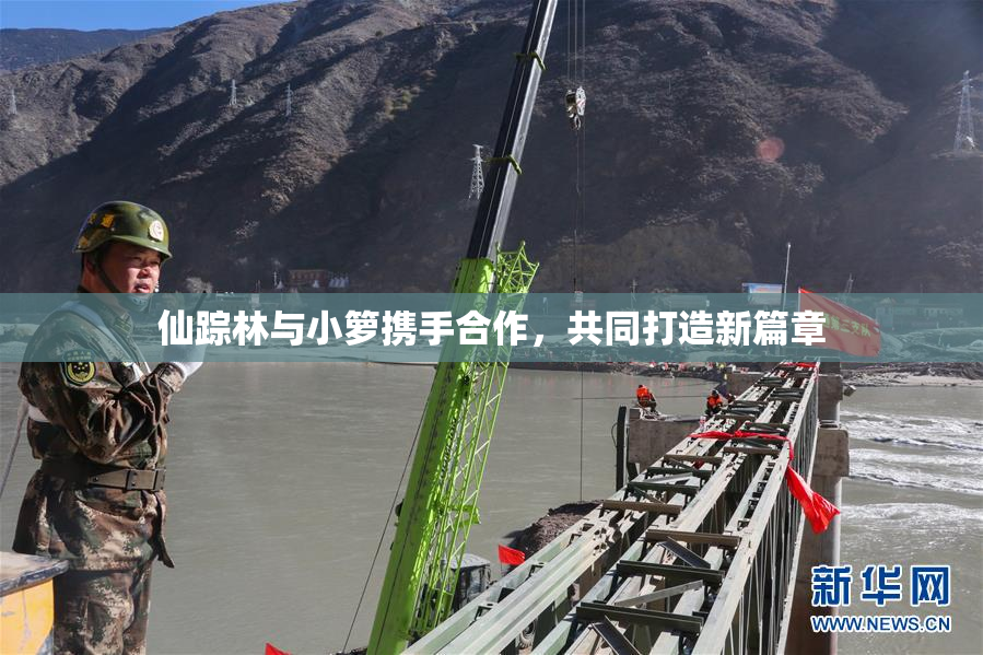 仙踪林与小箩携手合作，共同打造新篇章