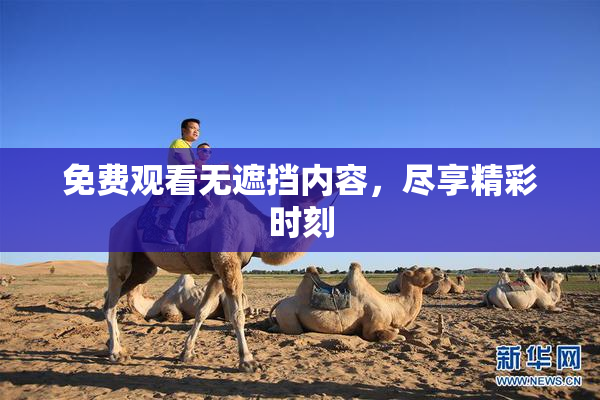 免费观看无遮挡内容，尽享精彩时刻