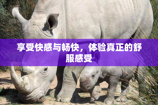 享受快感与畅快，体验真正的舒服感受