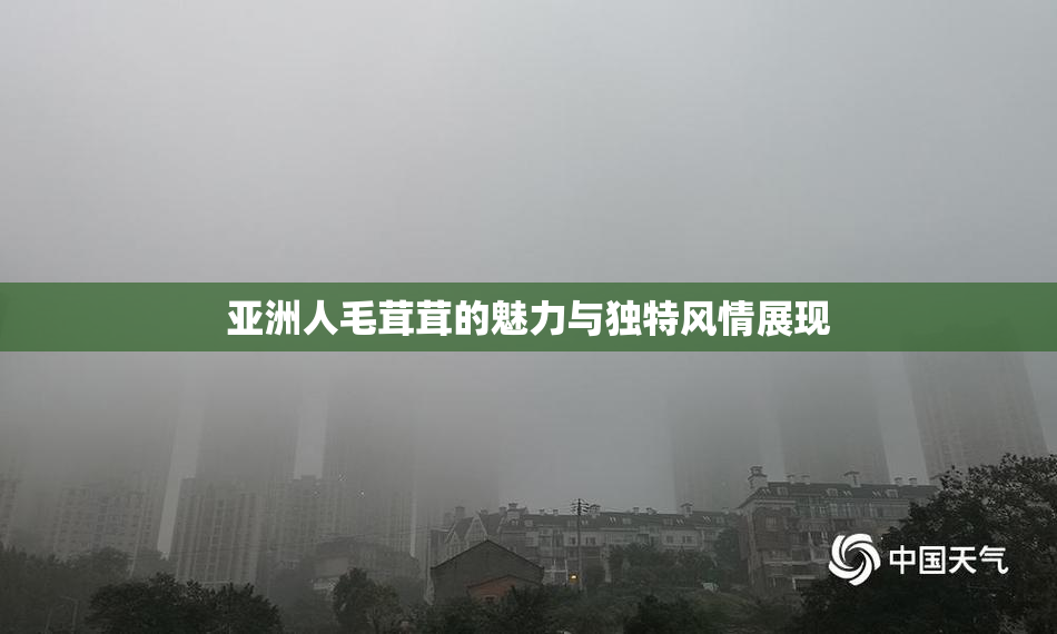 亚洲人毛茸茸的魅力与独特风情展现