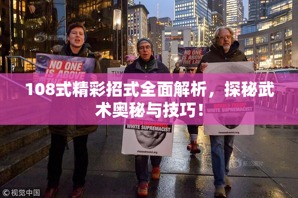 108式精彩招式全面解析，探秘武术奥秘与技巧！