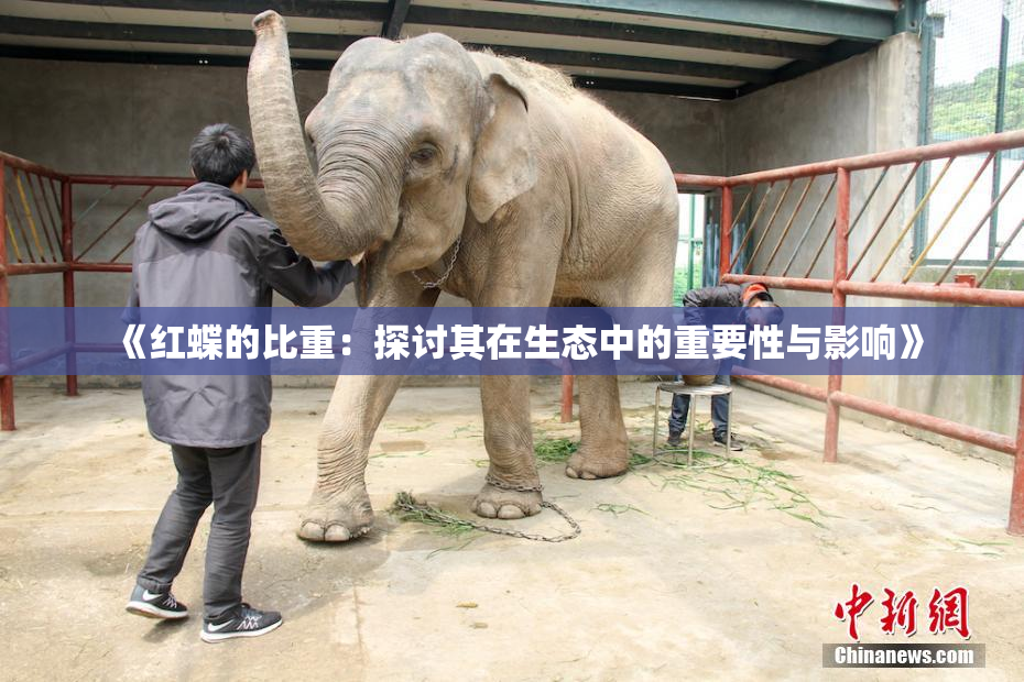 《红蝶的比重：探讨其在生态中的重要性与影响》