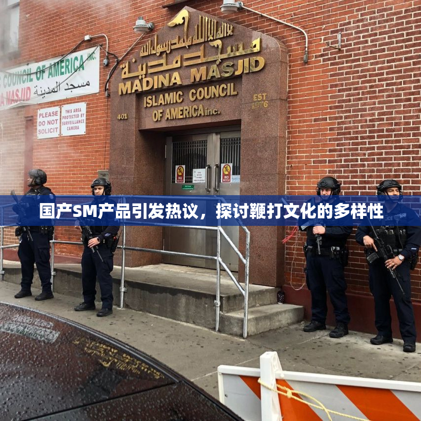 国产SM产品引发热议，探讨鞭打文化的多样性