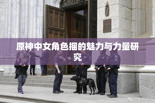 原神中女角色捆的魅力与力量研究