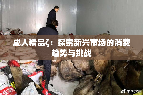成人精品ζ：探索新兴市场的消费趋势与挑战