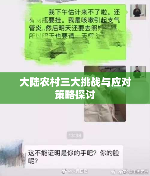 大陆农村三大挑战与应对策略探讨