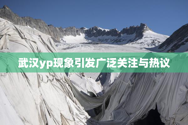 武汉yp现象引发广泛关注与热议