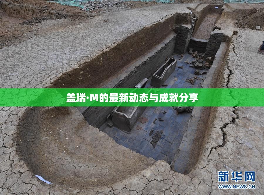 盖瑞·M的最新动态与成就分享