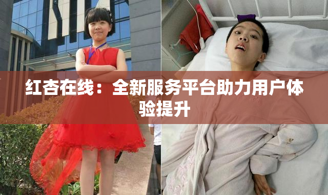 红杏在线：全新服务平台助力用户体验提升