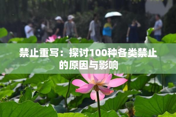 禁止重写：探讨100种各类禁止的原因与影响