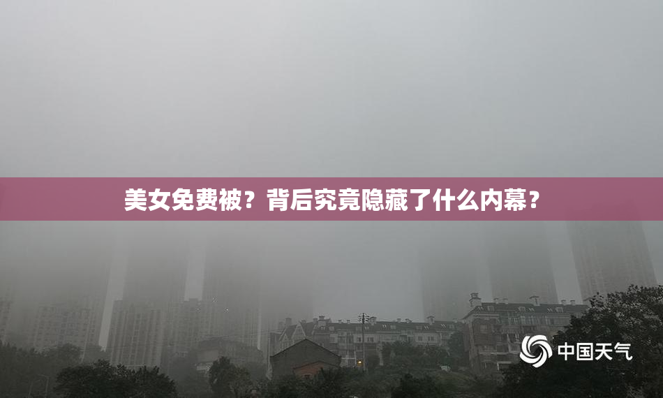 美女免费被？背后究竟隐藏了什么内幕？