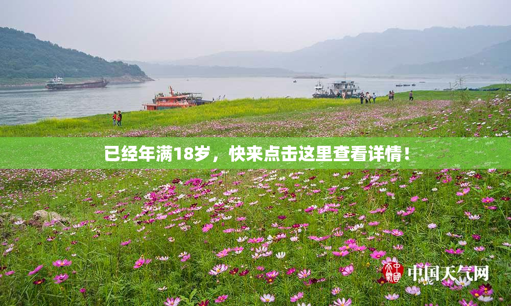 已经年满18岁，快来点击这里查看详情！