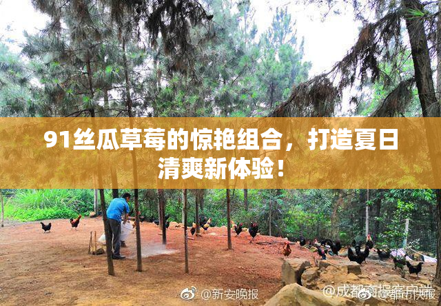 91丝瓜草莓的惊艳组合，打造夏日清爽新体验！