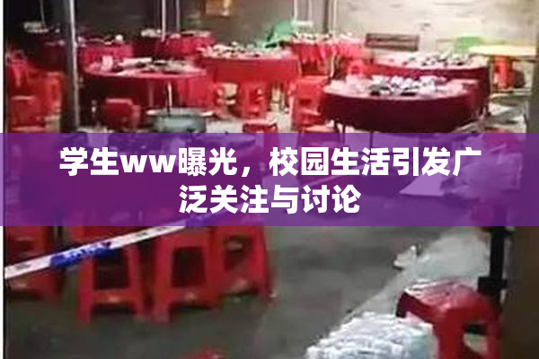 学生ww曝光，校园生活引发广泛关注与讨论