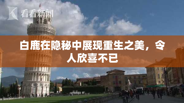 白鹿在隐秘中展现重生之美，令人欣喜不已
