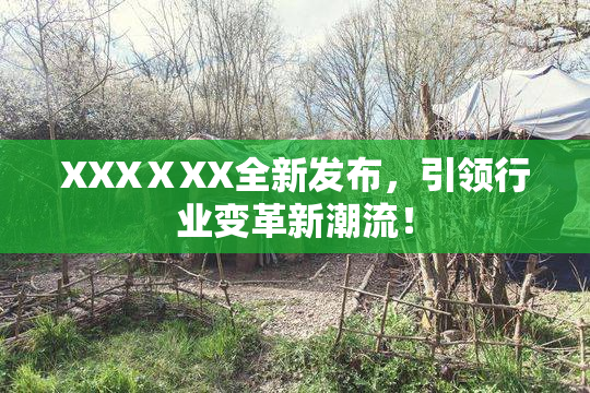 XXXⅩXX全新发布，引领行业变革新潮流！