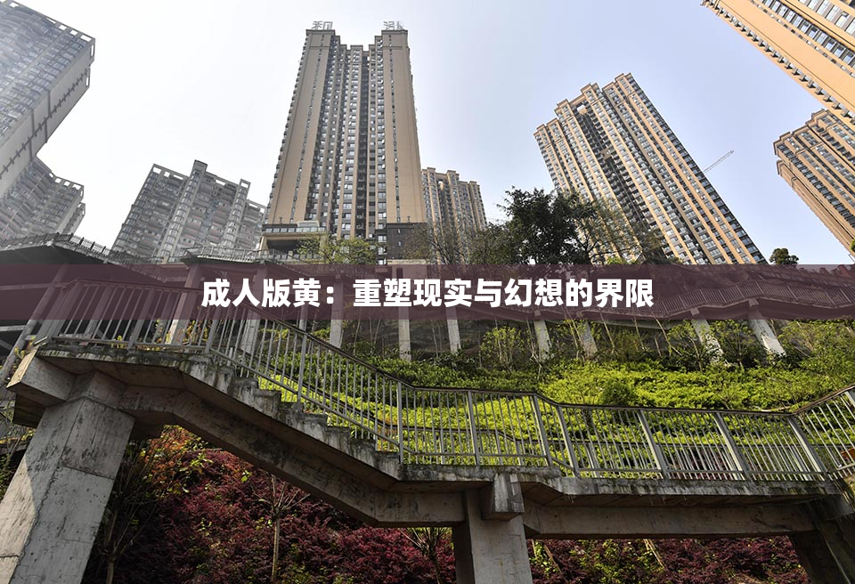 成人版黄：重塑现实与幻想的界限