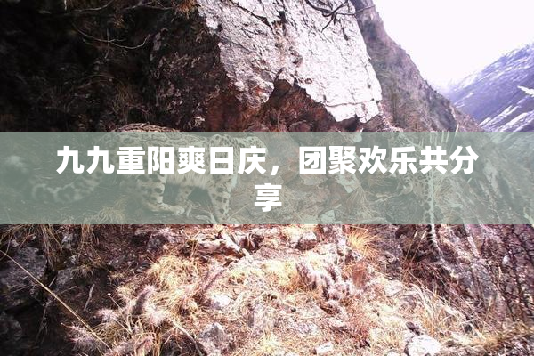 九九重阳爽日庆，团聚欢乐共分享