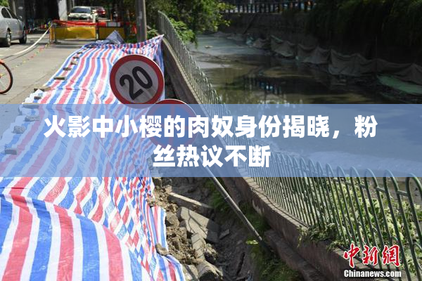 火影中小樱的肉奴身份揭晓，粉丝热议不断