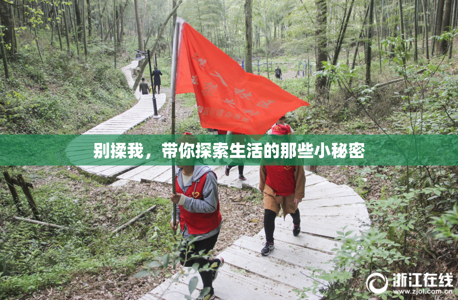 别揉我，带你探索生活的那些小秘密