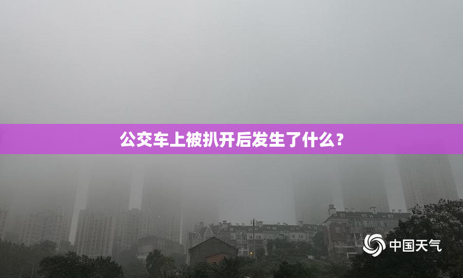 公交车上被扒开后发生了什么？