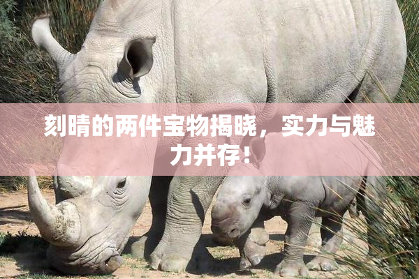 刻晴的两件宝物揭晓，实力与魅力并存！