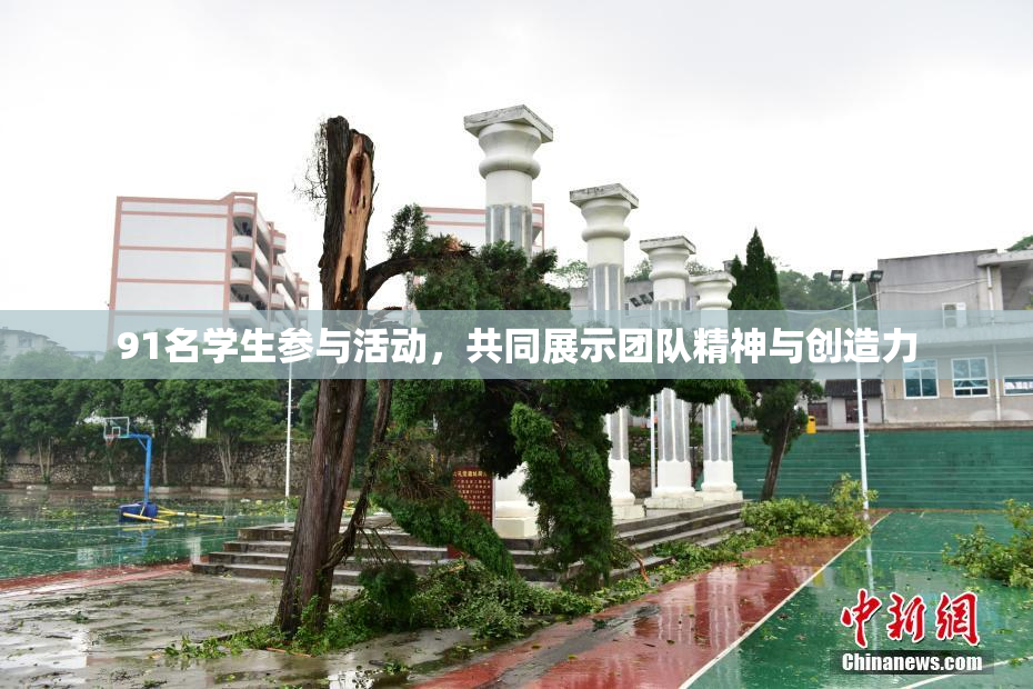 91名学生参与活动，共同展示团队精神与创造力