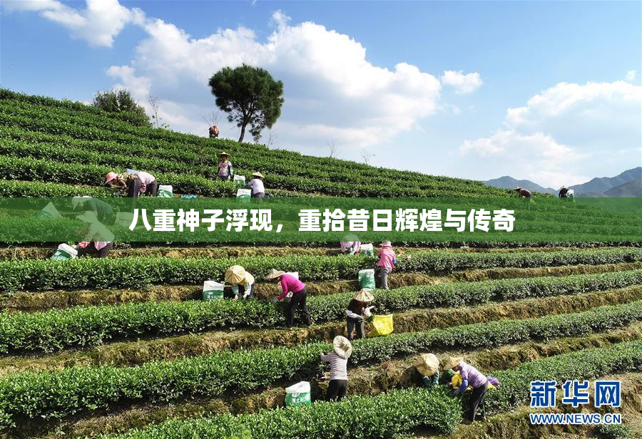 八重神子浮现，重拾昔日辉煌与传奇