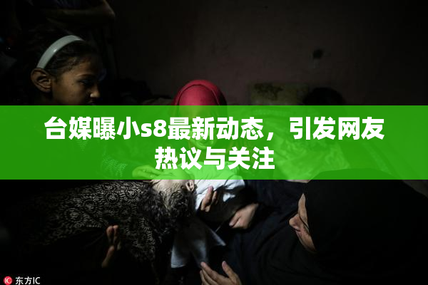 台媒曝小s8最新动态，引发网友热议与关注