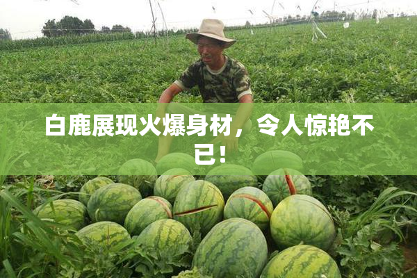 白鹿展现火爆身材，令人惊艳不已！