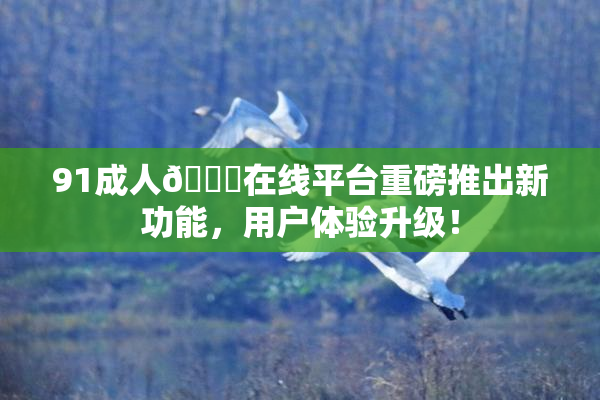 91成人🔞在线平台重磅推出新功能，用户体验升级！