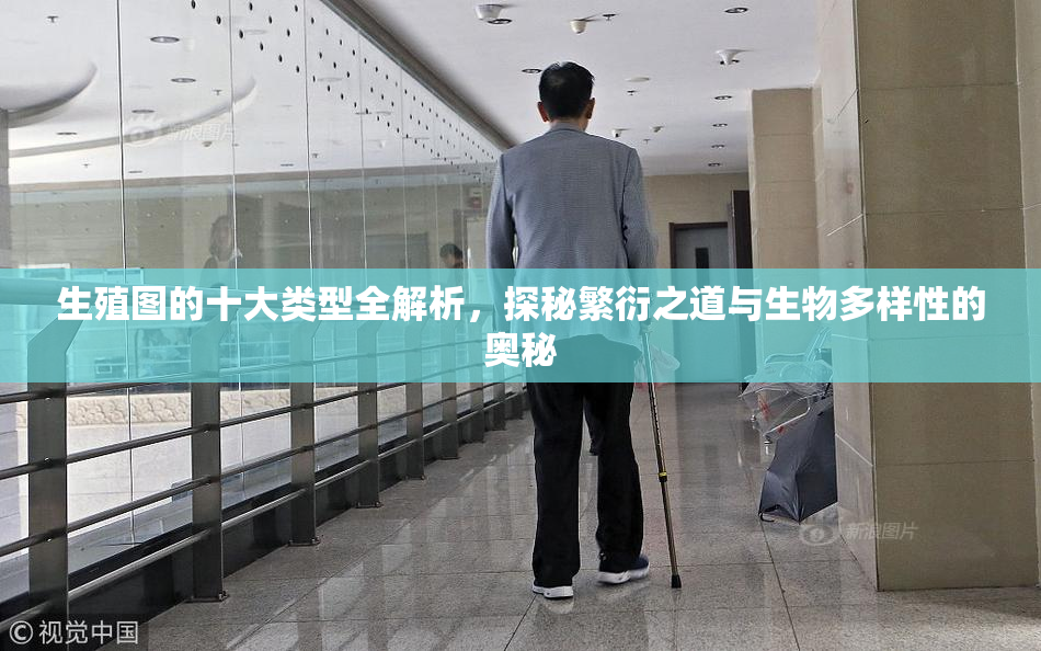 生殖图的十大类型全解析，探秘繁衍之道与生物多样性的奥秘
