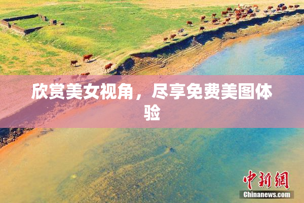 欣赏美女视角，尽享免费美图体验