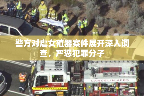警方对虐女殖器案件展开深入调查，严惩犯罪分子