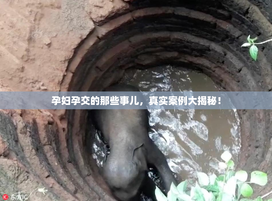 孕妇孕交的那些事儿，真实案例大揭秘！