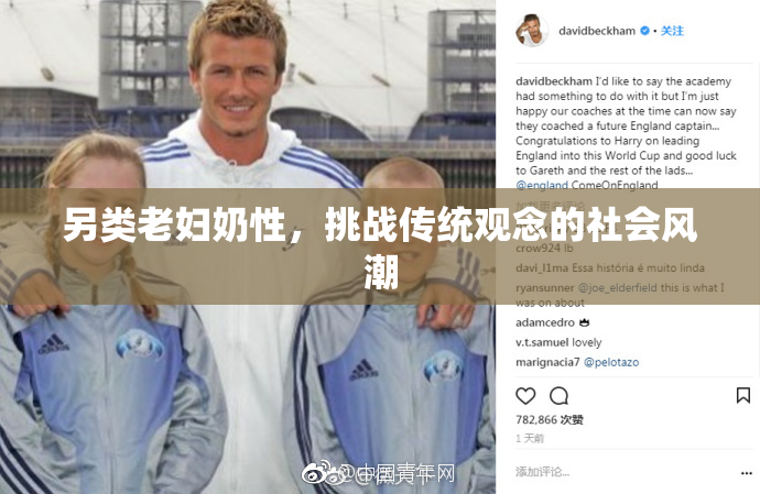另类老妇奶性，挑战传统观念的社会风潮