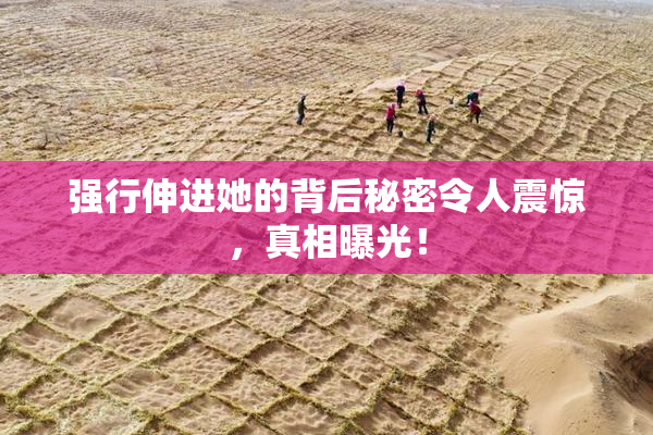强行伸进她的背后秘密令人震惊，真相曝光！